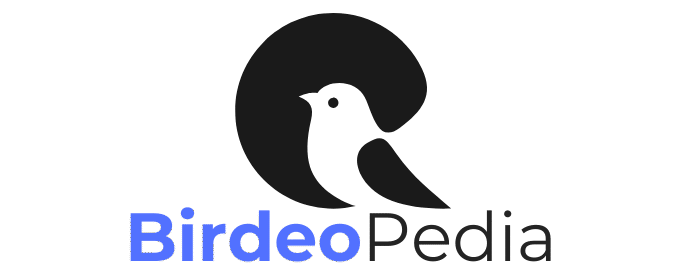Birdieo Pedia Logo